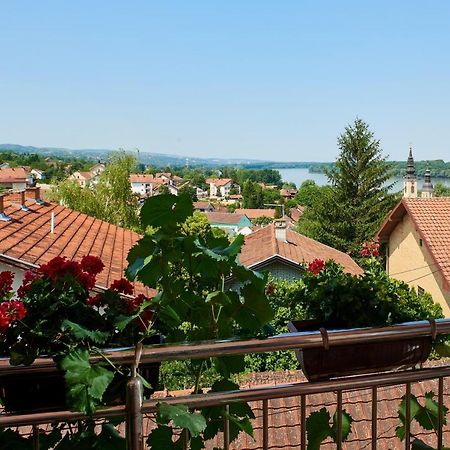 Sakota Family House Apartment Sremska Kamenica Bagian luar foto