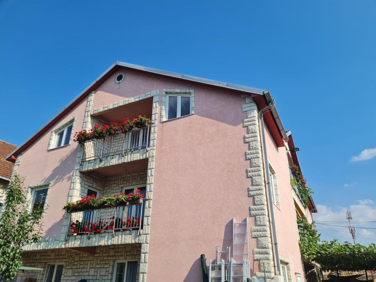 Sakota Family House Apartment Sremska Kamenica Bagian luar foto