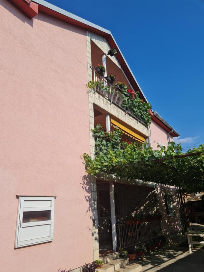 Sakota Family House Apartment Sremska Kamenica Bagian luar foto