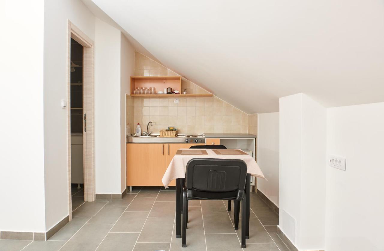 Sakota Family House Apartment Sremska Kamenica Bagian luar foto