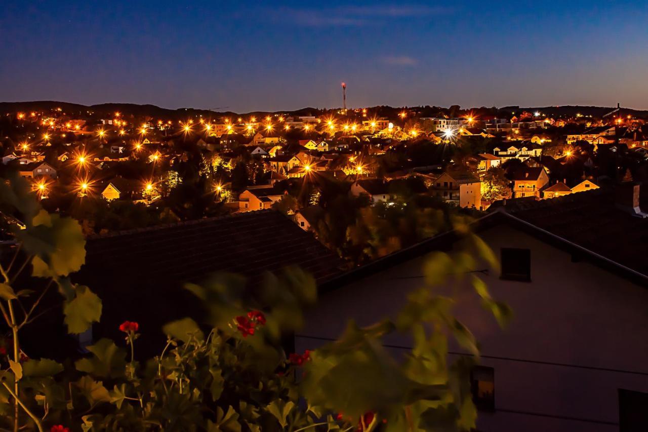 Sakota Family House Apartment Sremska Kamenica Bagian luar foto